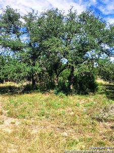 926 Mimosa Ct, Fischer, TX, 78623