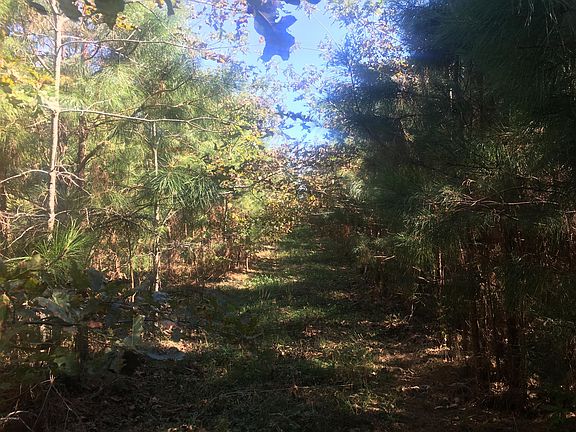 2nd image of 0 Nc Hwy 32 N
