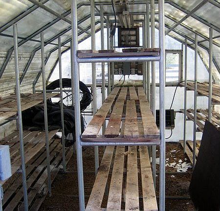 Inside of greenhouse