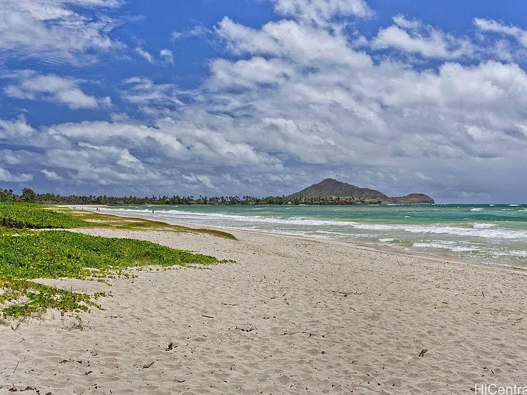 Beachfront looking north