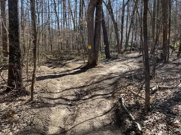 39411 Mount Wolf Rd, Charlotte Hall, MD 20622