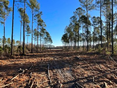 TBD Laughlin Rd., Marion, SC, 29571