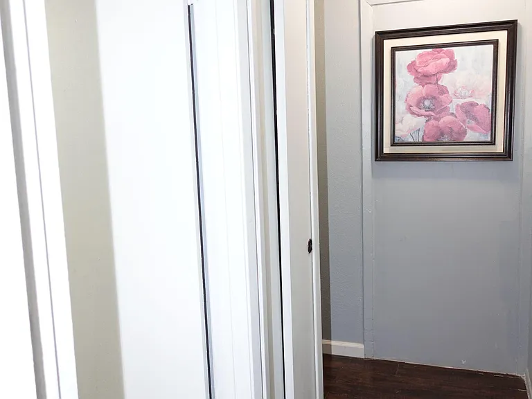 Hallway & extra closet