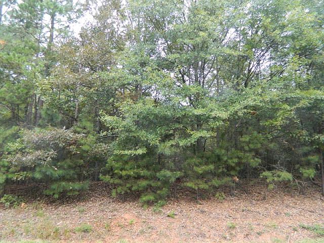 2nd image of 161 Ed Coile Rd