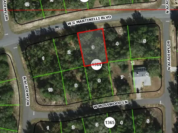 1402 W G MARTINELLI BOULEVARD LOT 3, CITRUS SPRINGS, FL 34434