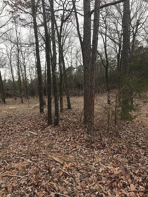 2nd image of 851 Oak Meadows Rd