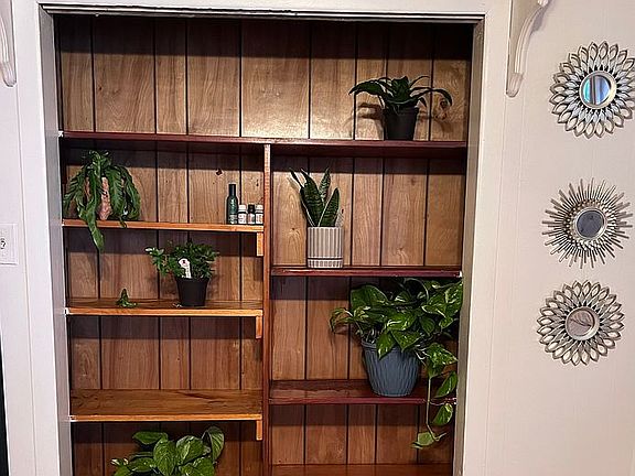 Plant wall in bedroom