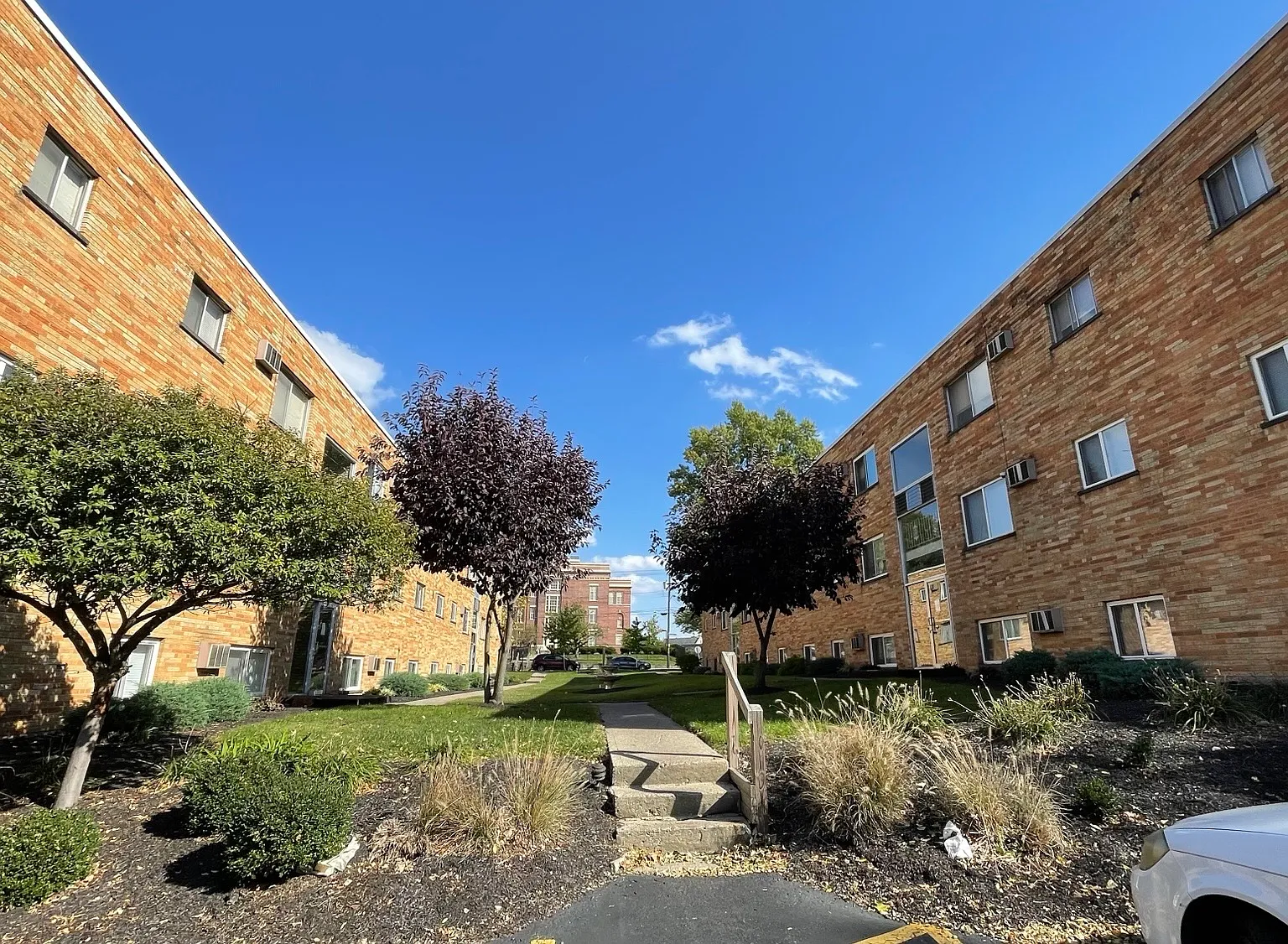 1 bed, 500 sqft, $850 — Photo 3