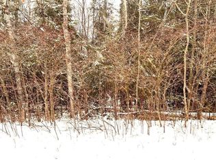 14270 Birchall Ct, Cheboygan, MI 49721