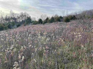 0 Little Pumpkin Valley, Eidson, TN 37731