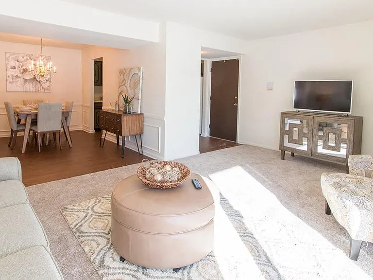 Carpeting & Hardwood Style Flooring