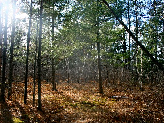 2nd image of Tbd Pike Bay Dr And Hearthside Dr