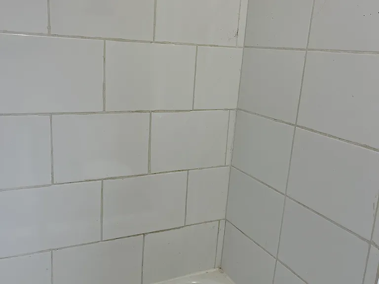 73 Harriet Ave #2 — Photo 11