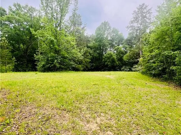 45303 Joe Thompson Rd, Franklinton, LA 70438