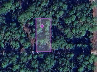 136 Hazel Ave LOT 41, Georgetown, FL 32139