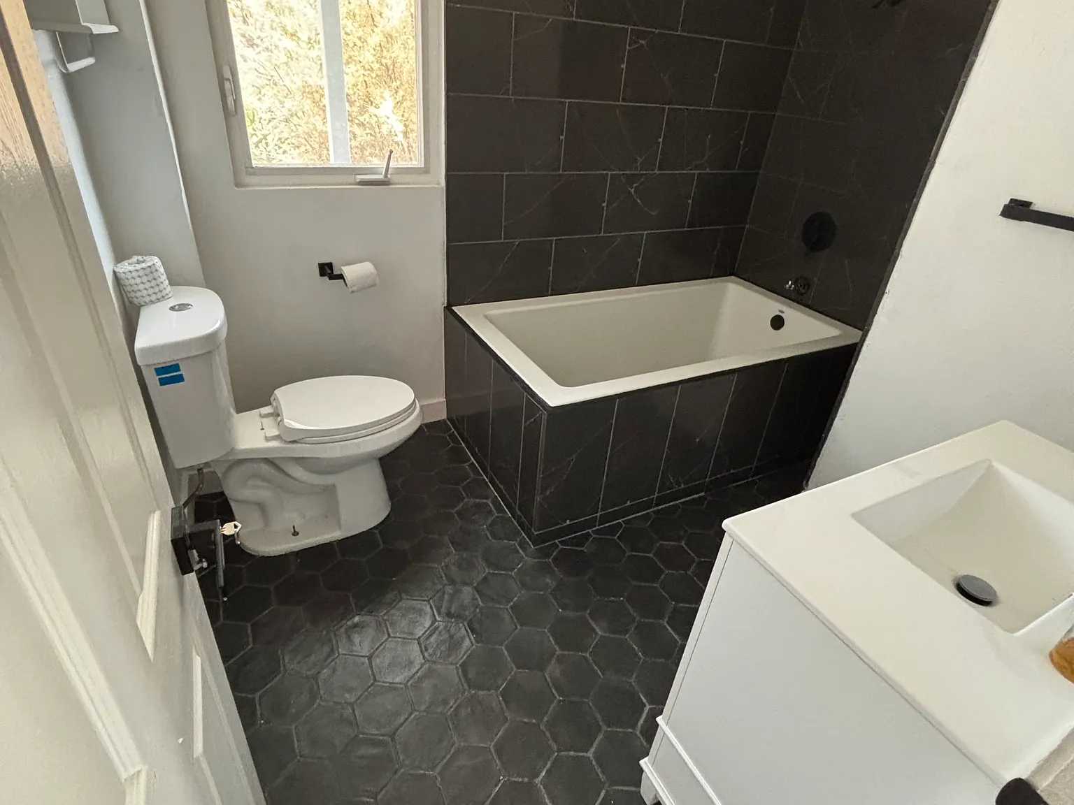 2 bed, 1250 sqft, $3,300 — Photo 3
