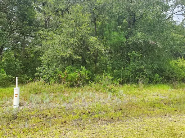 NW 147th Street Jasmine Com, Lake Butler, FL 32054