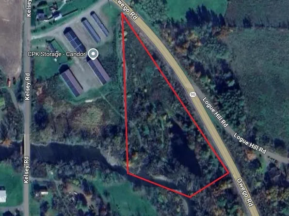0 Kelsey Rd, Candor, NY 13743