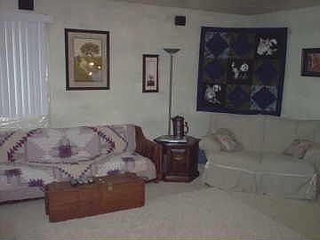 Large Living Room