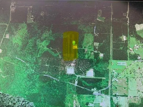 0 Off Israelite Rd, Grand Cane, LA 71032