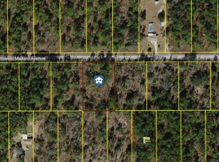 00000 NW Mallard Avenue, Dunnellon, FL 34431