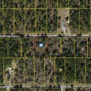00000 NW Mallard Avenue, Dunnellon, FL, 34431