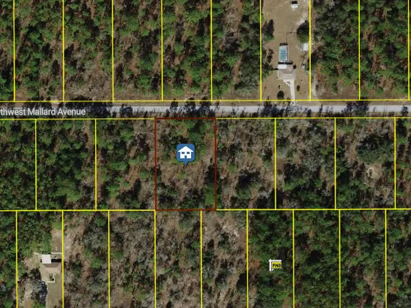 00000 NW Mallard Avenue, Dunnellon, FL 34431