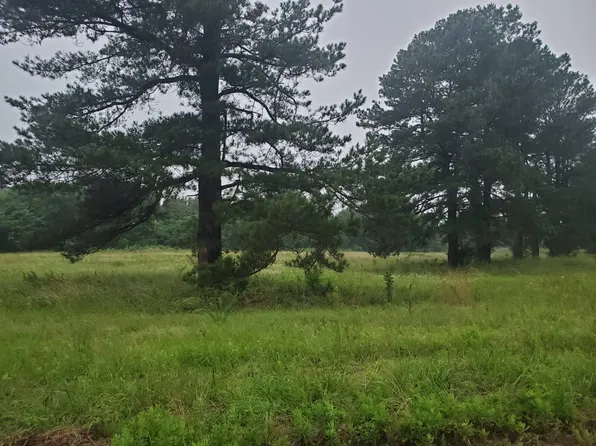 5 Little Green Acres, Hugo, OK 74743