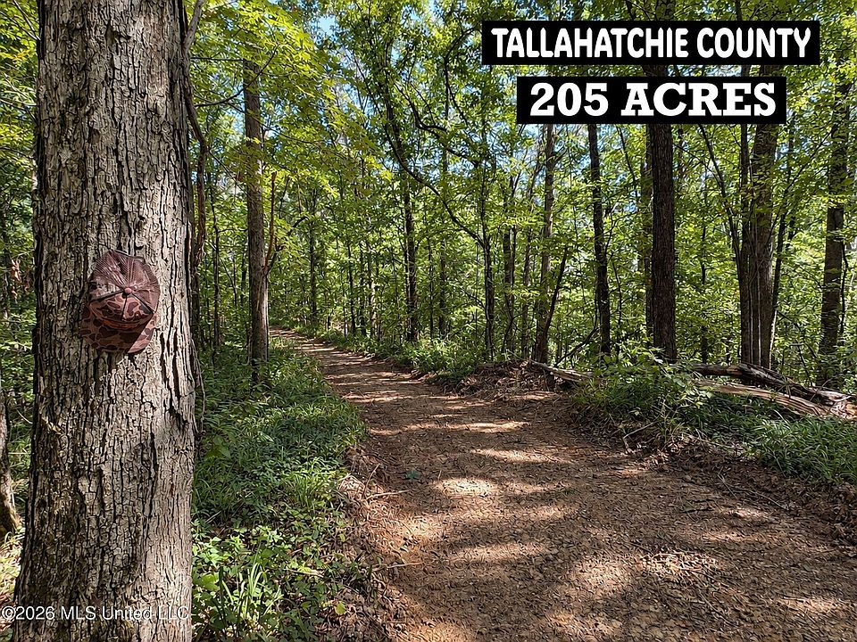 1st image of 173 Cascilla Rd