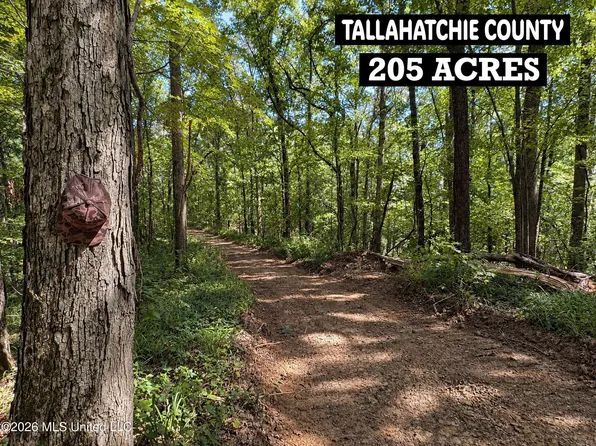173 Cascilla Rd, Cascilla, MS 38920