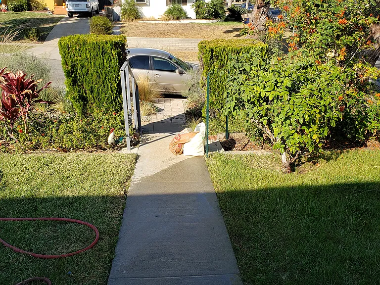3100 Norwich Ave — Photo 16