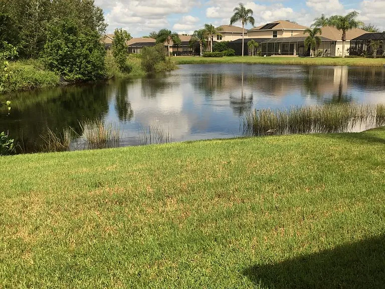 View From Lanai