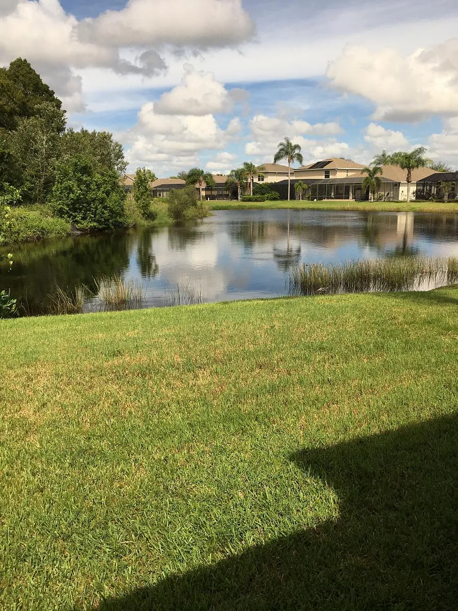 View From Lanai - 224 Fairway Isles Ln