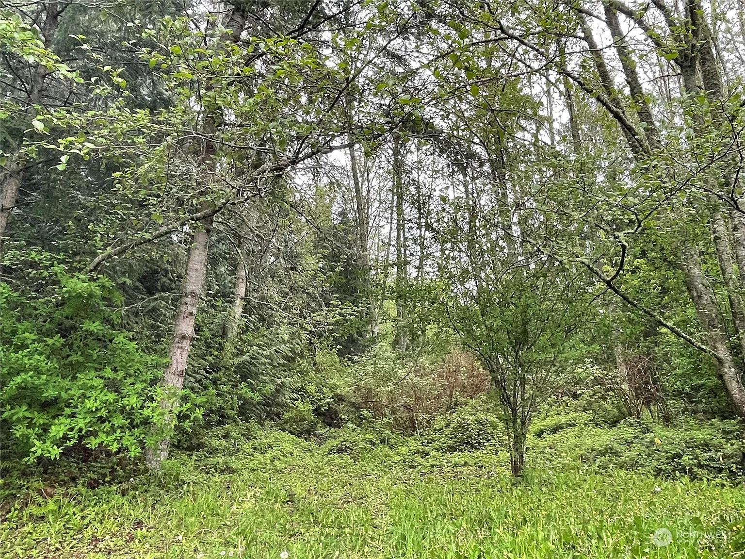 63 S Camano Ridge Road photo 1