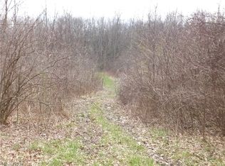 Newton Falls Rd, Ravenna, OH 44266