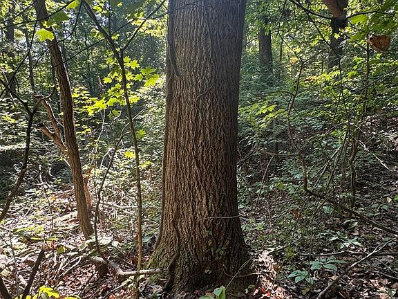 5th image of 0 Barren River Rd