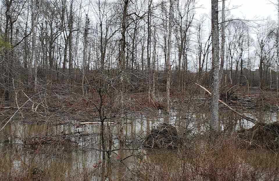 S Wilmar Rd, Wilmar, AR 71675 Zillow