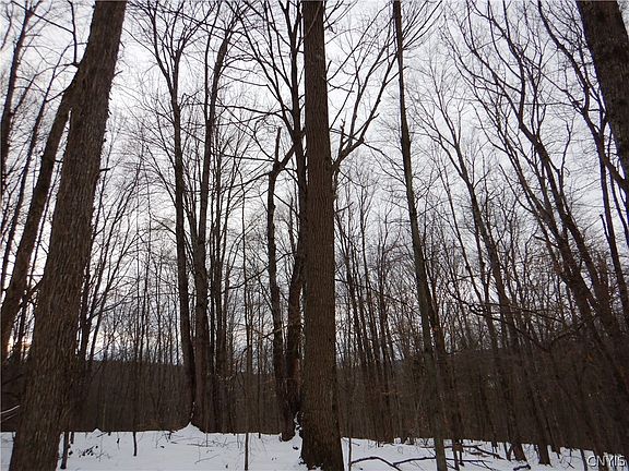 2nd image of Newark Valley Maine Rd