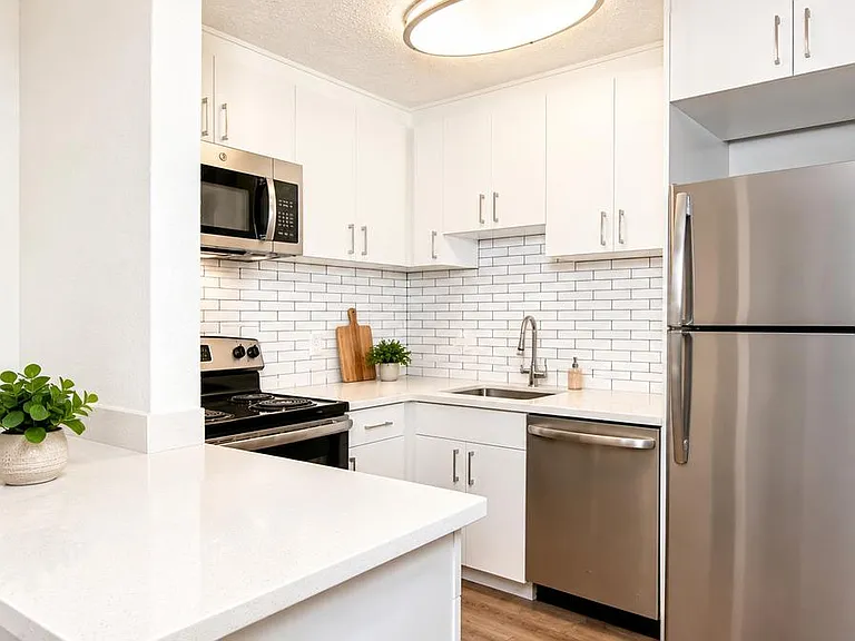 Stainless appliances