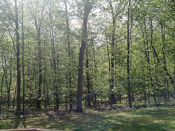 view from deck late spring