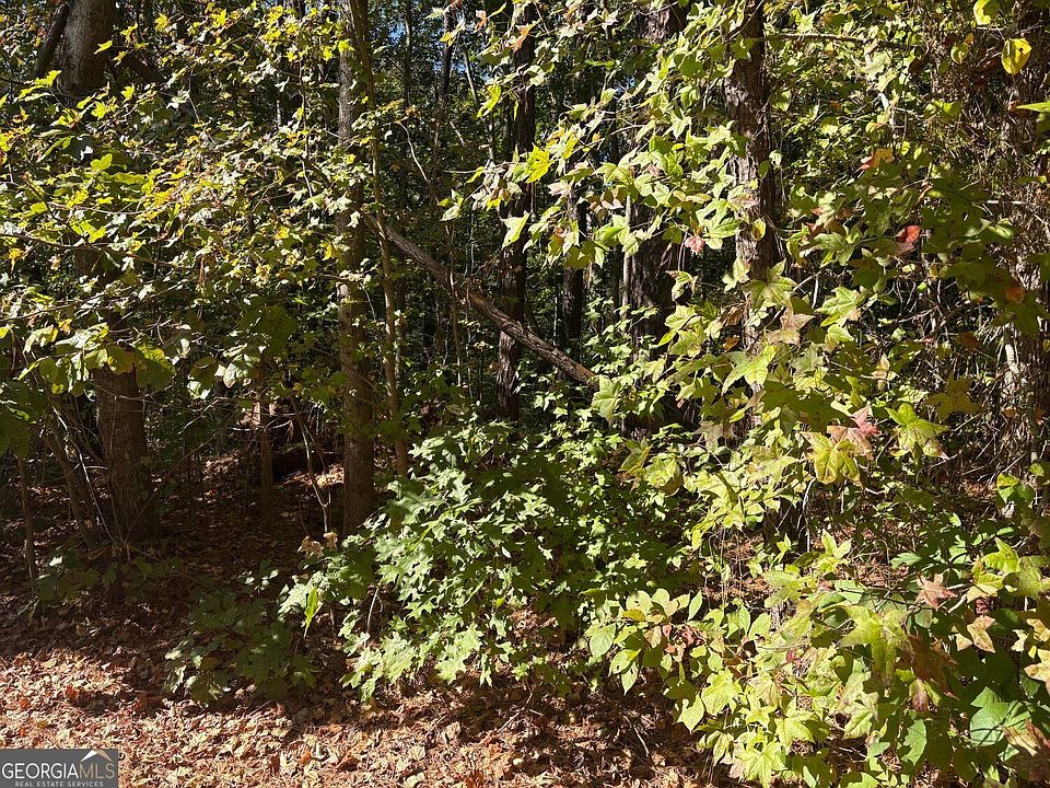 2nd image of 0 Dorsett Shoals Rd