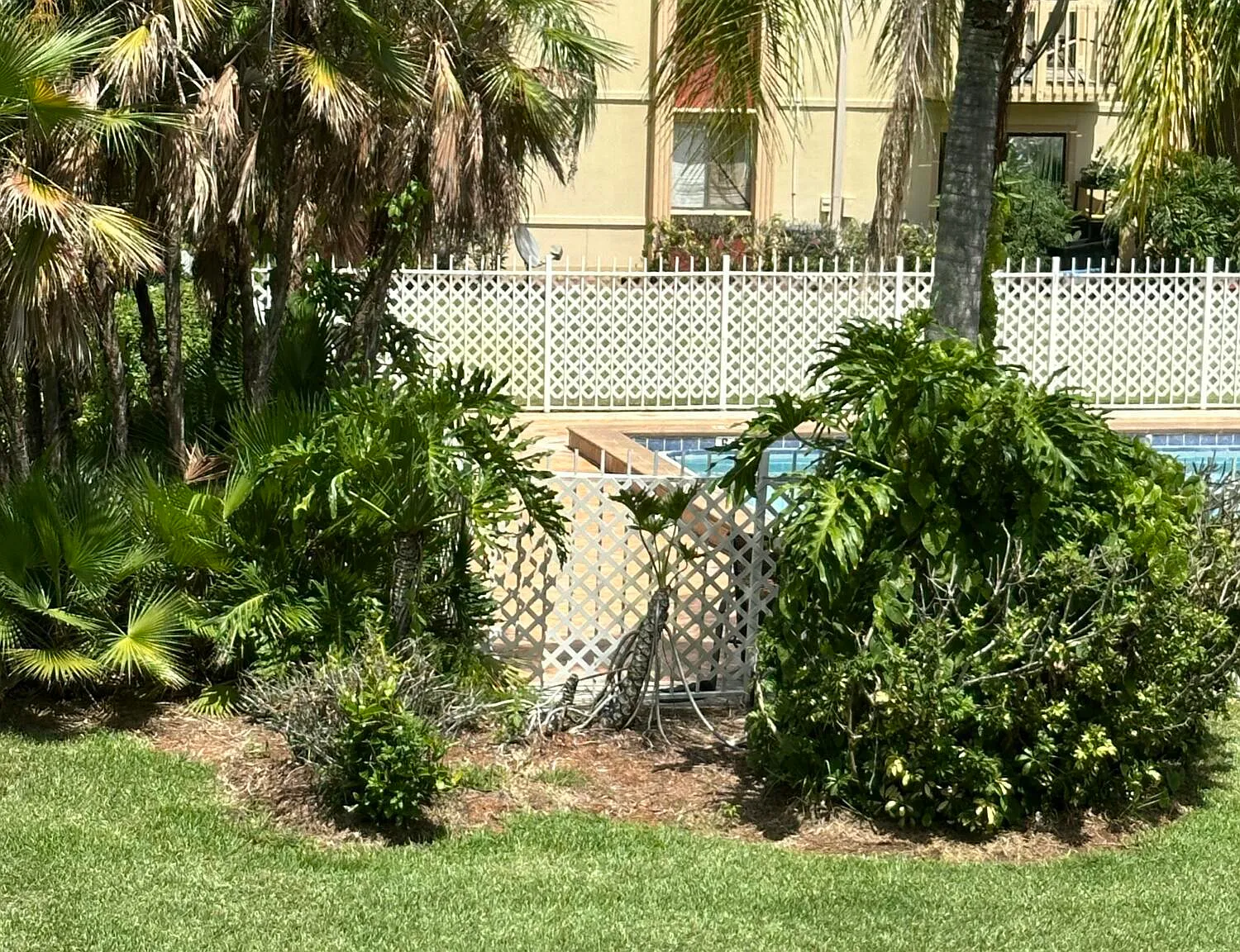 2 bed, 2.0 bath, 1069 sqft, $1,400 — Photo 3