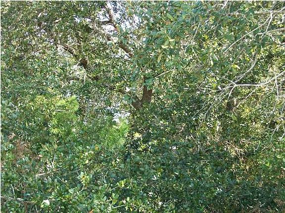 3rd image of 2006 Vizcaya Dr