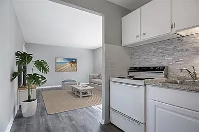 1 bed, 550 sqft, $900 — Photo 3