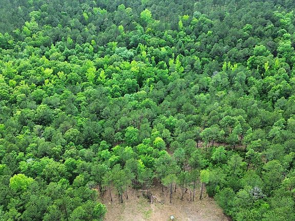 Dji Fly 20260430 173152 751 1777584720394 Photo Optimized