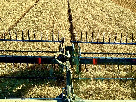 4th image of Buena Vista Rd