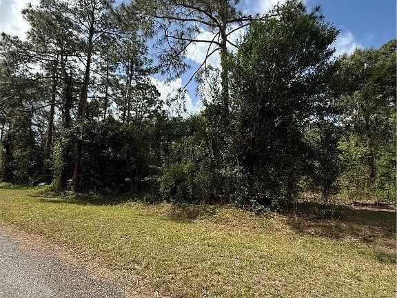 5th image of 170 E Marimba Cir