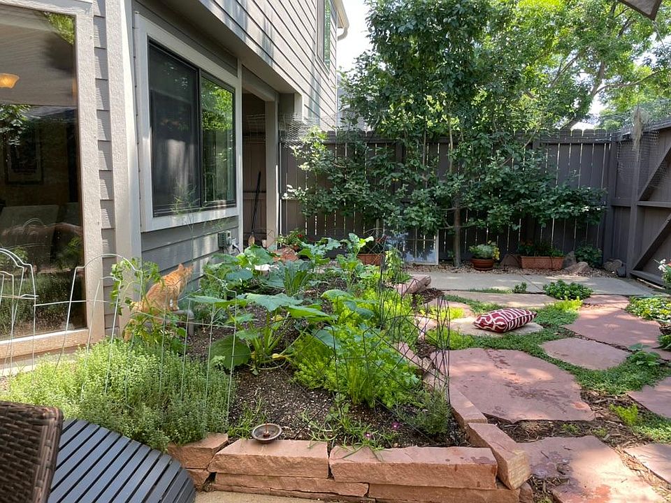 Vegetable garden in growing season
