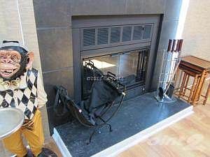 Wood Burning Fire Place for cozy night