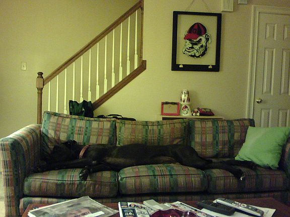 Well Maintained Interior